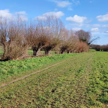 Moderne Doppelhaushaelfte Mit Sued-west-terrasse Erkrath