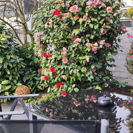 Σπίτι διακοπών Moderne Doppelhaushaelfte Mit Sued-west-terrasse *