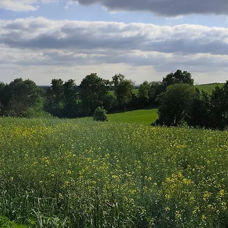 Moderne Doppelhaushaelfte Mit Sued-west-terrasse Erkrath