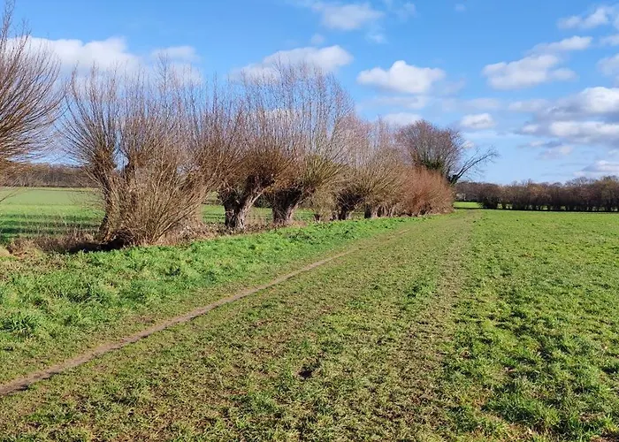 Moderne Doppelhaushaelfte Mit Sued-west-terrasse 埃克拉特