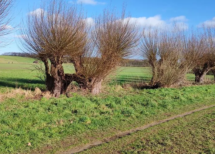 Moderne Doppelhaushaelfte Mit Sued-west-terrasse