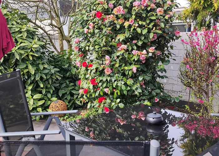 度假居 Moderne Doppelhaushaelfte Mit Sued-west-terrasse *