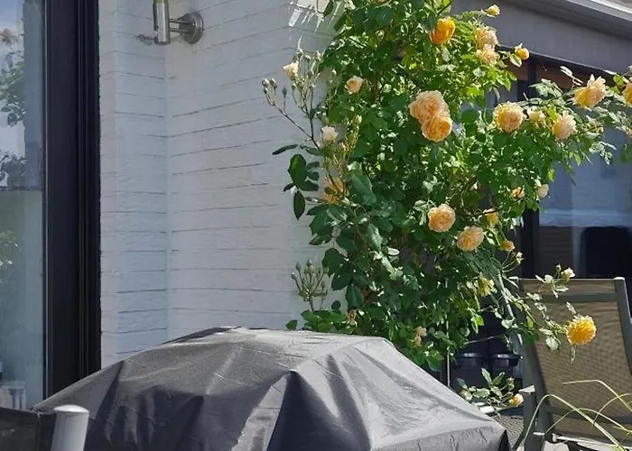 Moderne Doppelhaushaelfte Mit Sued-west-terrasse 埃克拉特