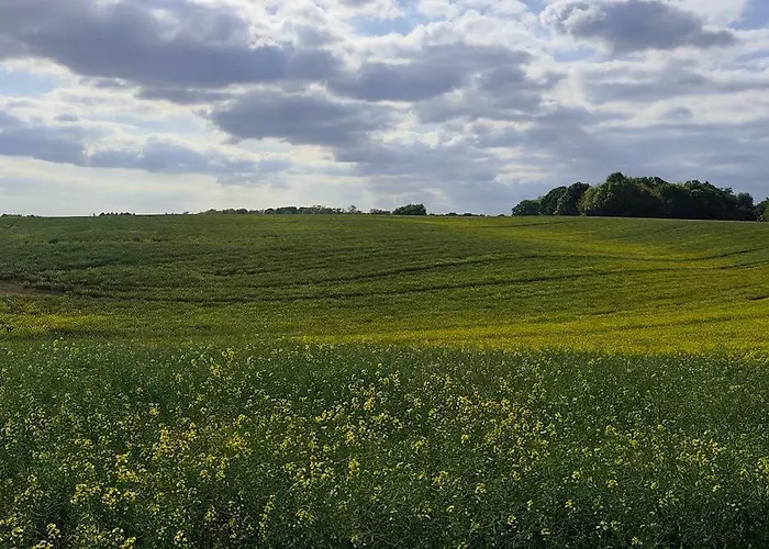 Prázdninový dům Moderne Doppelhaushaelfte Mit Sued-west-terrasse *