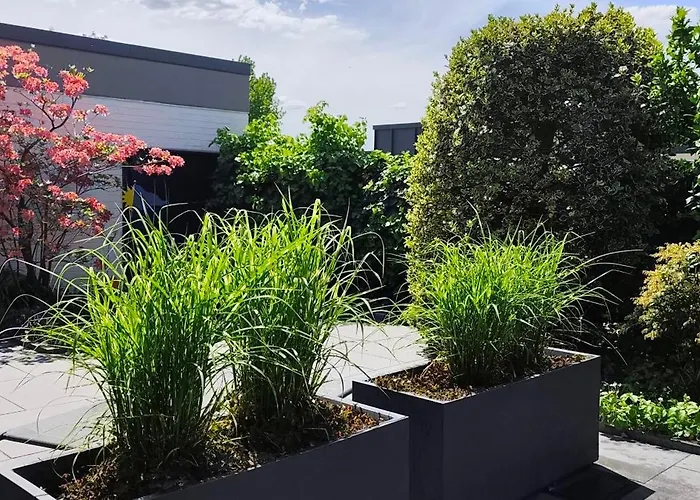 Moderne Doppelhaushaelfte Mit Sued-west-terrasse * 埃克拉特