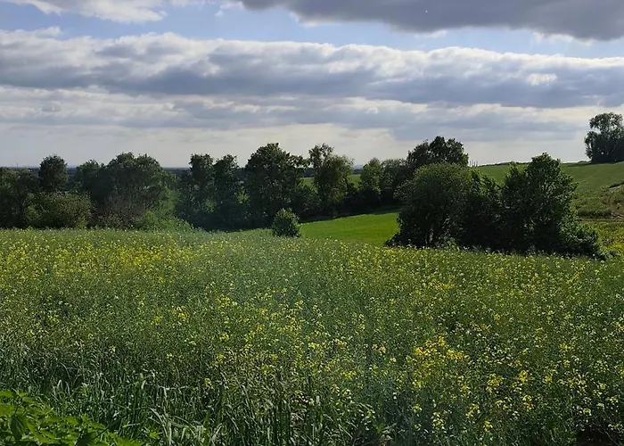Moderne Doppelhaushaelfte Mit Sued-west-terrasse Erkrath
